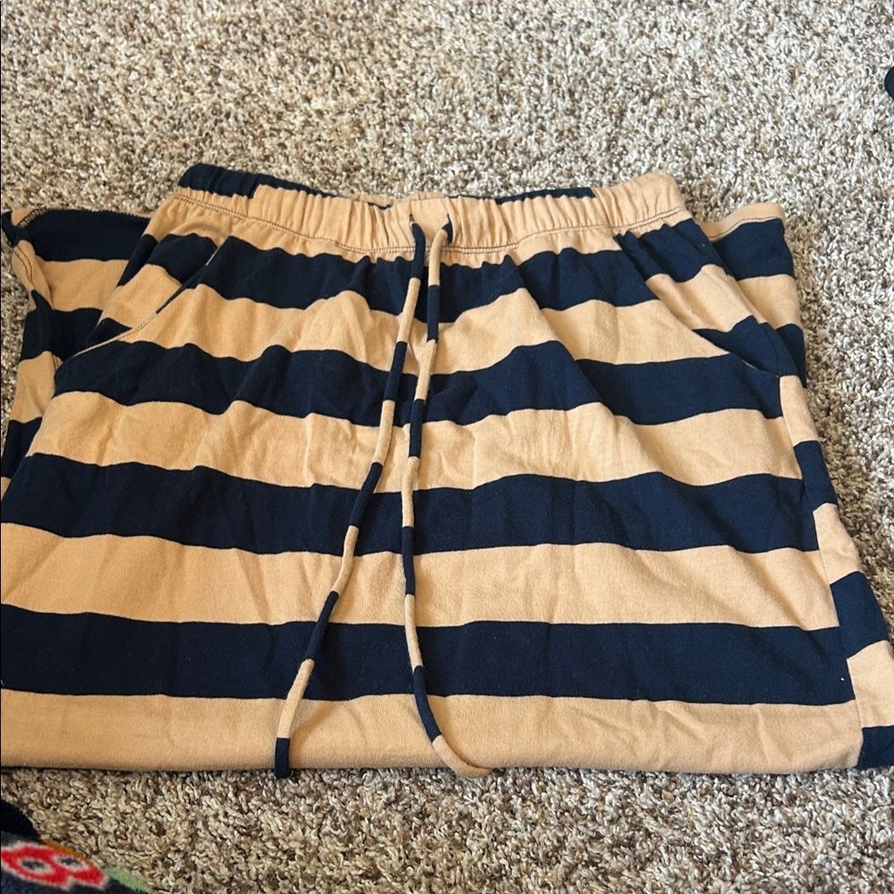 Wishlist Navy and Tan Striped Pants
